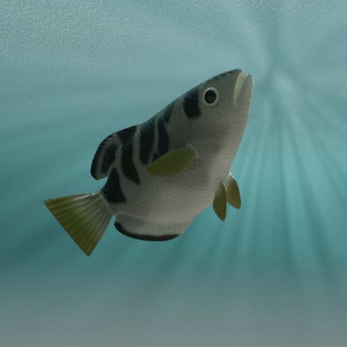 Rigged Archer Fish preview image